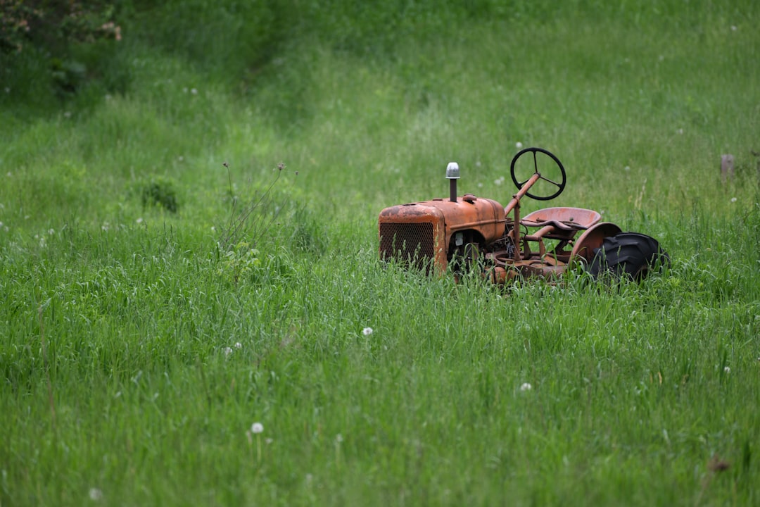 Photo Lawn mower